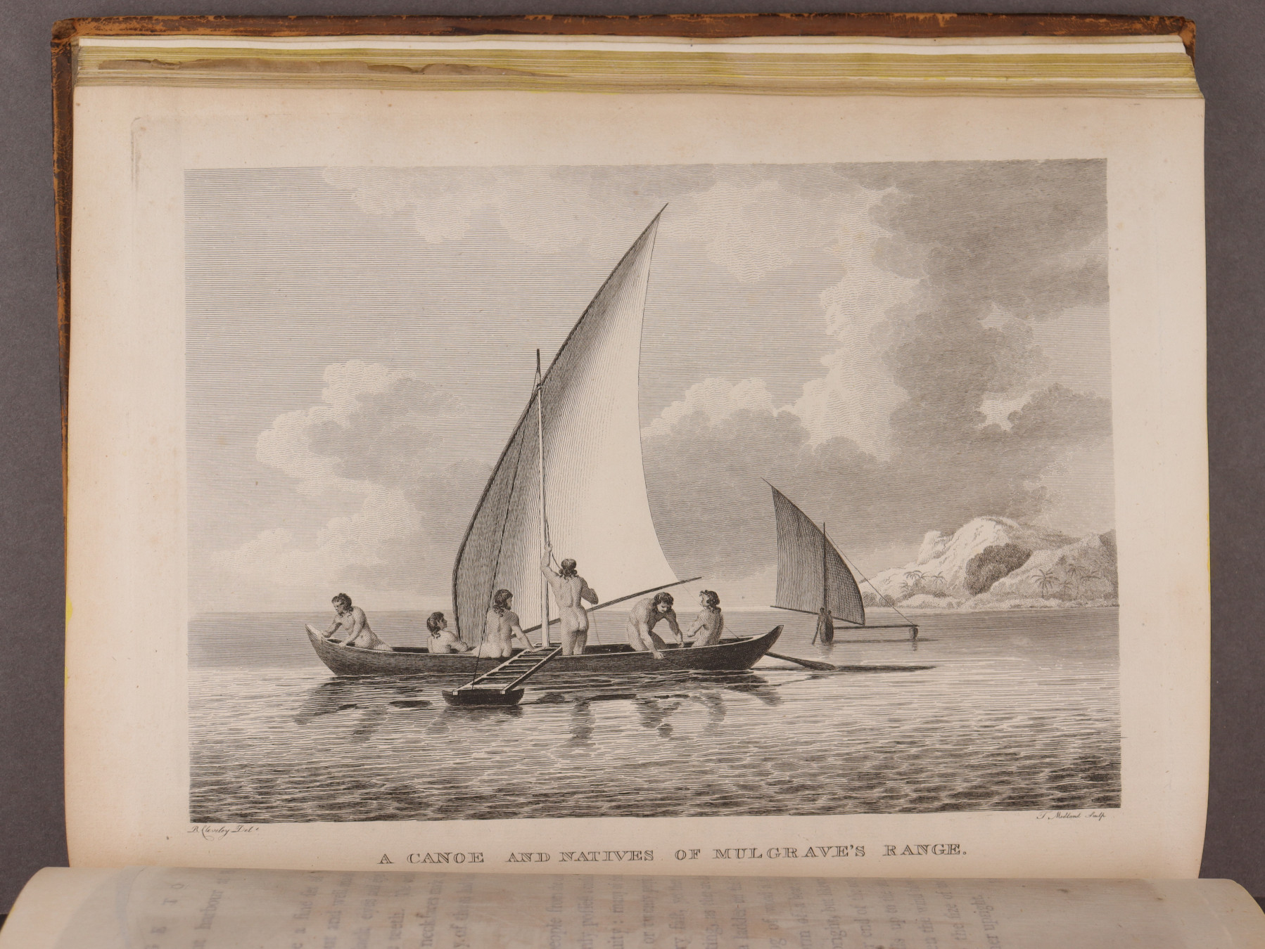 Plate 39